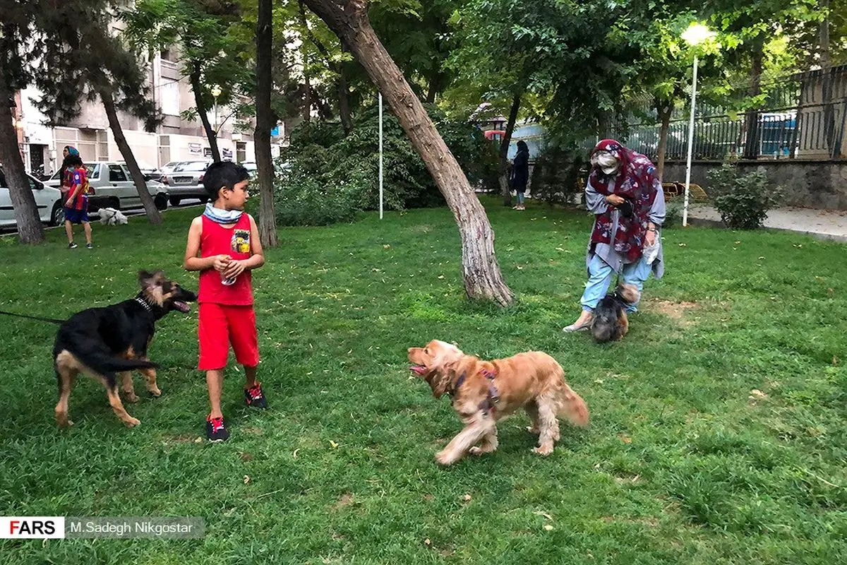 درباره تعصب، ملوان و کریس رونالدو