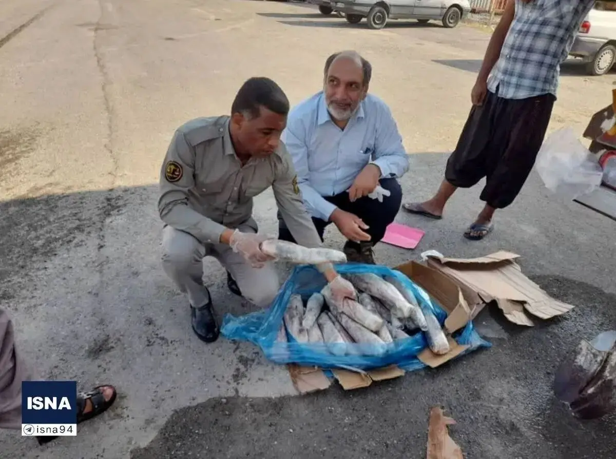 کشف محموله زبان حیوانات در میناب