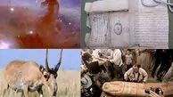 مروری بر شگفتانه‌های ۲۰۲۳