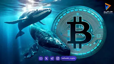 معامله نهنگ بیت کوین با اهرم ۴۰ برابری روی سقوط بازار