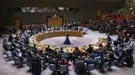 مخالفت صریح ایران با قطعنامه ۲۷۲۲ شورای امنیت