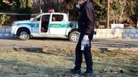 افزایش تعداد شهدای حادثه تروریستی کرمان