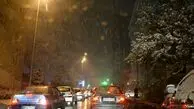 اگر شبی از شب‌های زمستان مسافری...