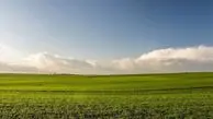 جزئیات تازه از پرونده زمین خواری مدیر یک شرکت خصوصی