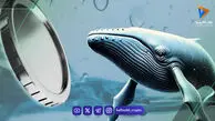 دلیل رشد ۵۰ درصد قیمت اورکا چیست؟ سیگنال خرید یا تله گاوی؟