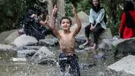 جهان در جعبه کفش
