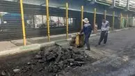 جزئیات قطع درختان در اجرای پروژه زیرگذر میدان سپاه