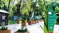 ماجرای تازه درباره پارک قیطریه که برملا شد