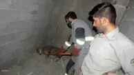 مجروح شدن ۱۲ نفر بر اثر حمله سه سگ گرگی