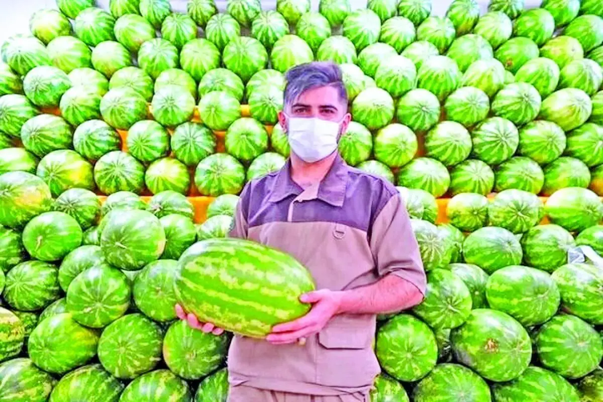 چظور هندوانه باعث مسمومیت می‌شود؟‌