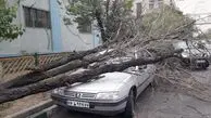 خسارت تندباد امروز در اصفهان به خودروها و درختان