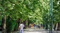 عکس | بنر عجیب زاکانی در مقابل پارک قیطریه