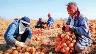 پياز ترمز بريد