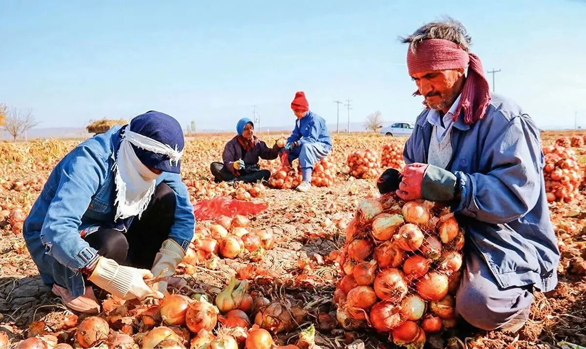 پياز ترمز بريد