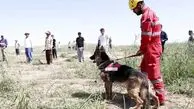 نظر دادستان درباره پرونده گم‌شدن یسنا: معما هنوز حل نشده