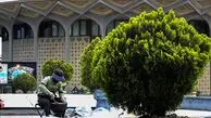 بساط اغذیه فروشان پارک دانشجو جمع شد
