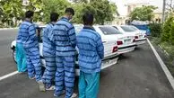دستگیری ۶ سارق حرفه‌ای در جریان اجرای ۳ عملیات پلیسی