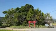 کوتاه‌ترین کوه ژاپن میزبان هزاران گردشگر