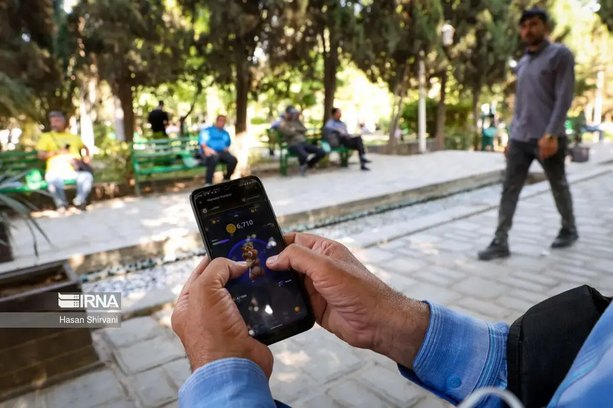 هشدار رئیس دادگستری تهران درباره فراگیر شدن همستر