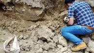 سرنوشت اسکلت انسان کشف‌شده در بریانک چه شد؟