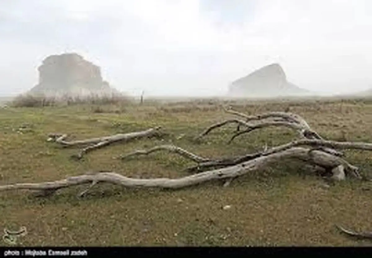 افشاگری درباره برکنار دسته‌جمعی مدیران محیط زیست دولت سیزدهم