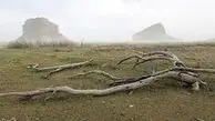 افشاگری درباره برکنار دسته‌جمعی مدیران محیط زیست دولت سیزدهم