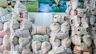 نکات مهم برای خرید برنج ایرانی - از مرغوب‌ترین برنج ایرانی تا گرانترین برنج ایرانی بازار