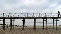 یک پیش بینی بدبینانه؛ کاهش ۱۸ متری تراز دریای خزر