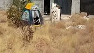 ‌چادرنشینی هنرمند سینمای دهه ۶۰  در حاشیه تهران