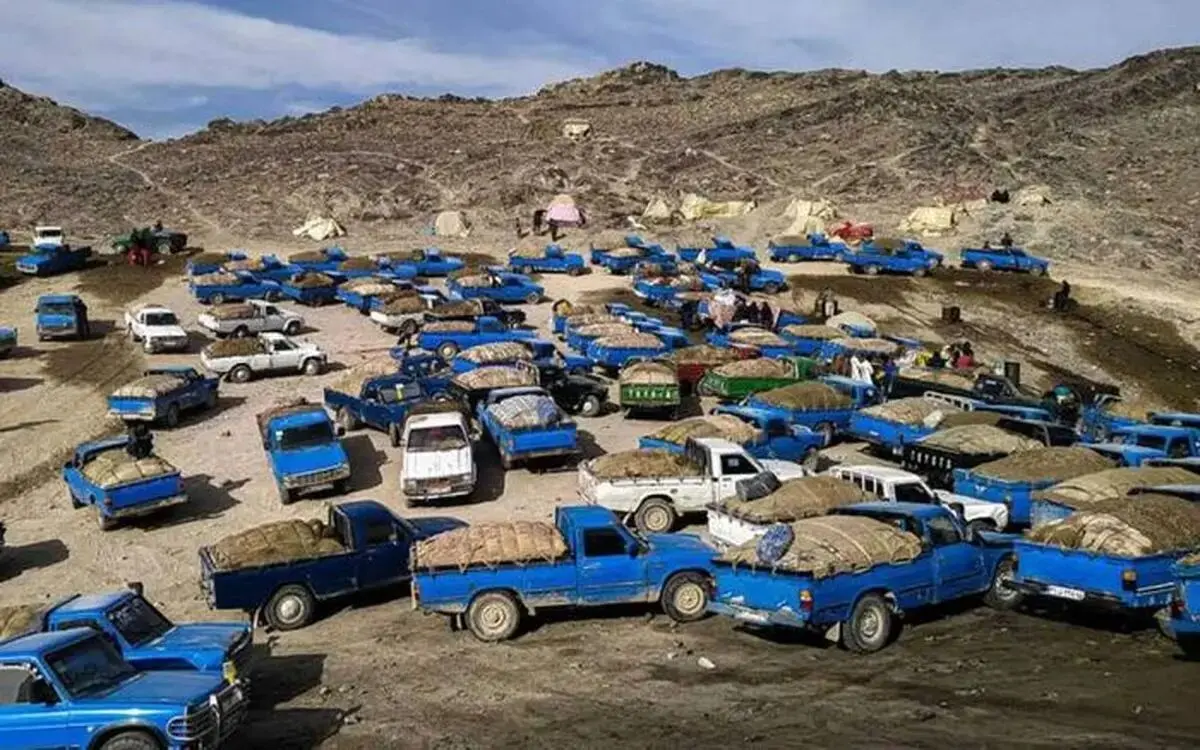 کنایه پزشکیان به گم شدن ۲۰ میلیون لیتر سوخت در روز