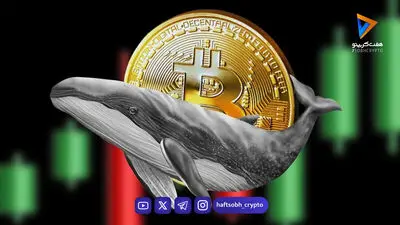  نهنگ ۱۵ ساله بیت‌کوین بیدار شد؛ ۴۰ میلیون دلار BTC جابه‌جا شد!