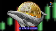 بیدار شدن نهنگ‌های قدیمی بیت کوین و جابجایی ۷۹۳ واحد btc