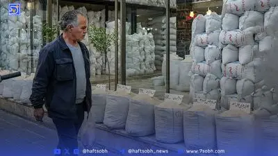 سه رؤیا برای آینده شالیزارهای جنوب