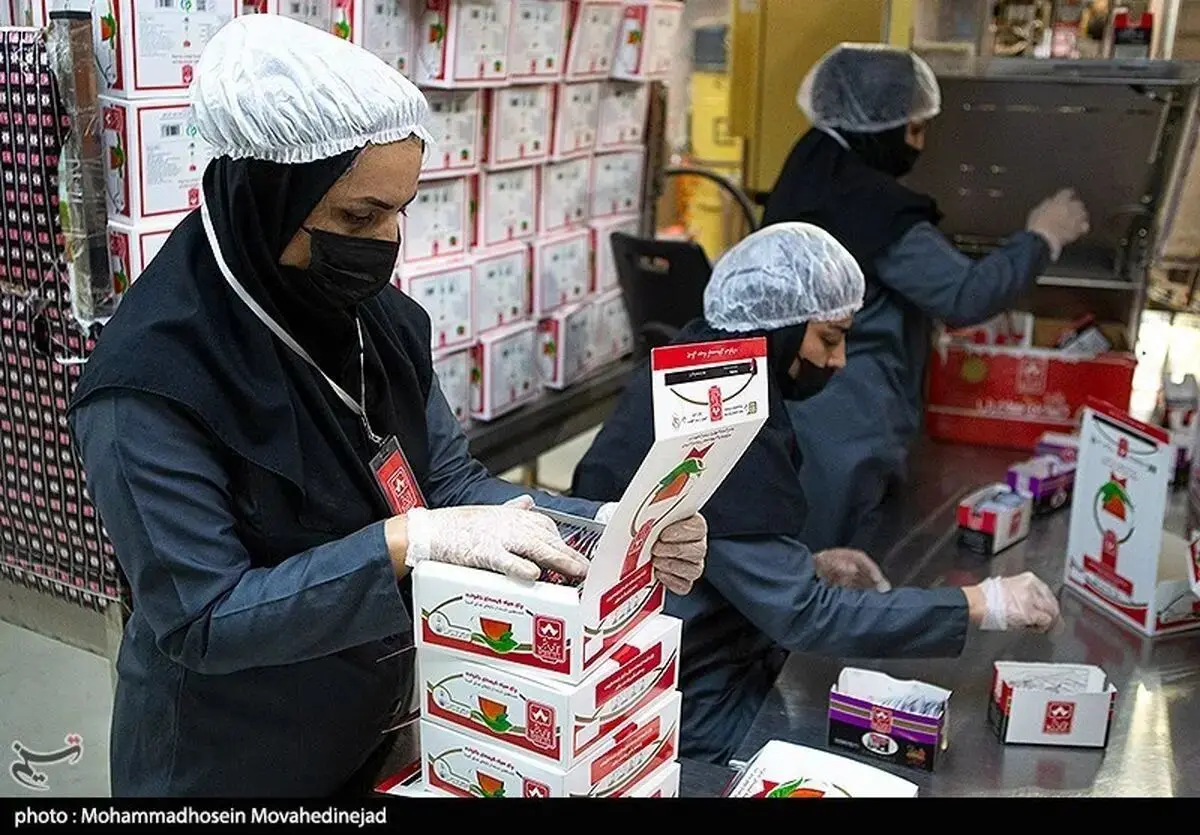 سازمان غذا و دارو درباره کیسه‌های چای هشدار داد