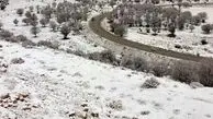 بارش برف در محورهای سپیدان به یاسوج و اقلید