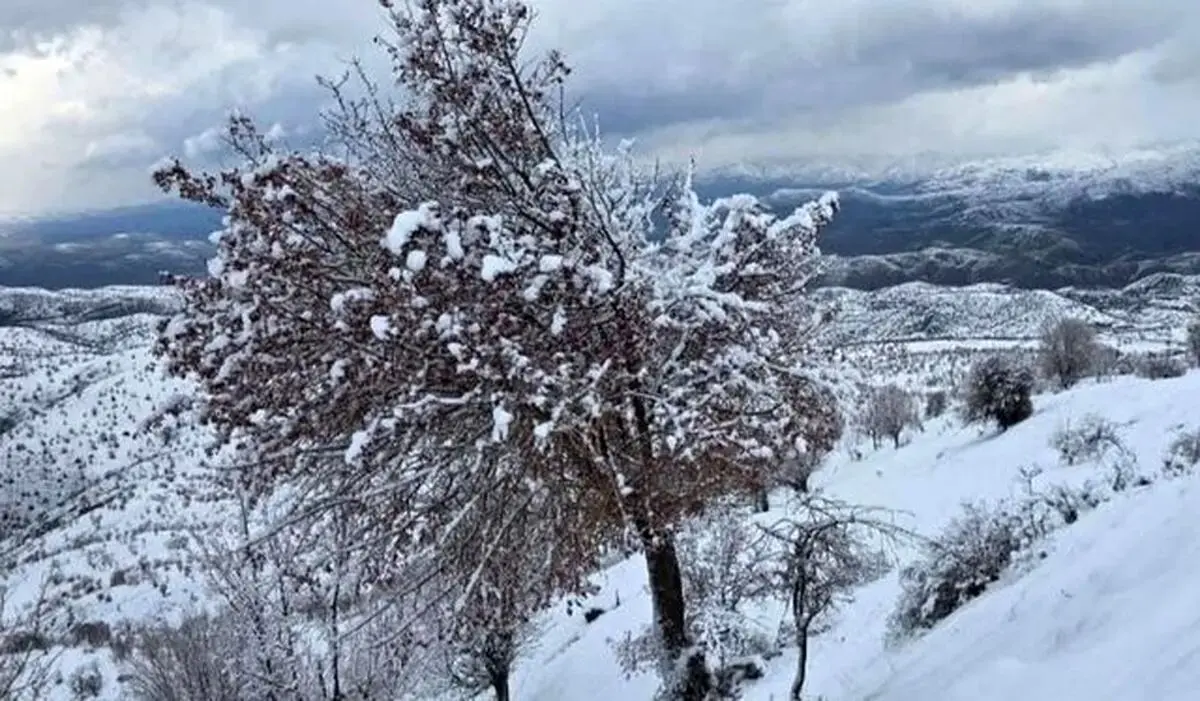 برف و سرما ۶ کشور عربی را درنوردید