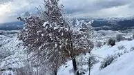برف و سرما ۶ کشور عربی را درنوردید