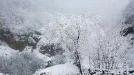 تعطیلی مازندران فردا 8 اسفند 1403