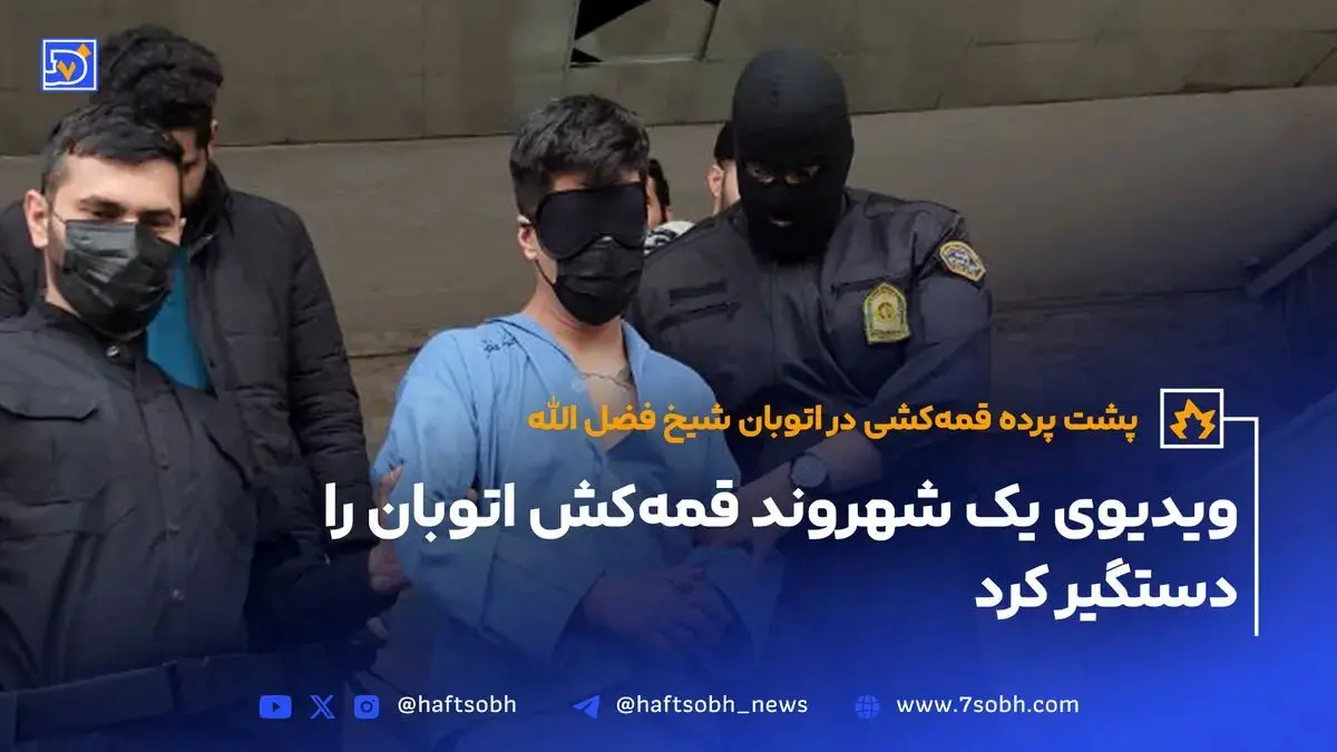 پشت پرده قمه‌کشی در اتوبان شیخ فضل الله