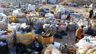 جنگل قربانی زباله؛ توسعه دفنگاه‌ها در قلب گیلان