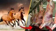 11 تن گوشت اسب در سنندج کشف شد