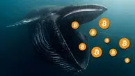 بیت کوین و حرکات خطرناک نهنگ‌ها