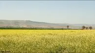 زلزله ۴.۴ ریشتری در داریان شیراز