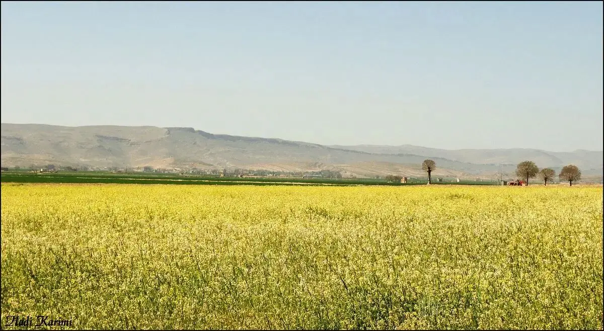 زلزله ۴.۴ ریشتری در داریان شیراز