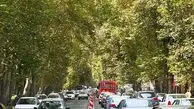 از هفت تیر‌تا پارک وی با آقا رضا