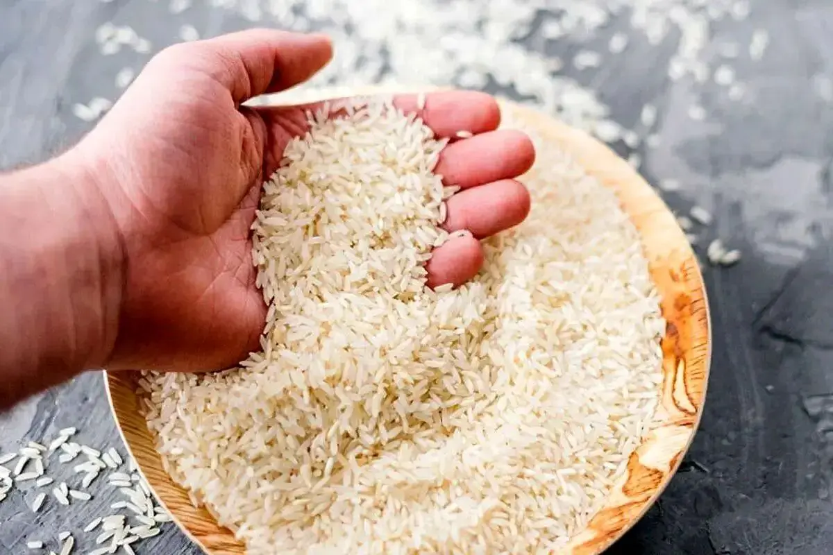 دورریز برنج رکورد زد