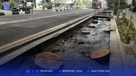 چنارهای تهران در صف مرگ | درختان دچار تنش آبی شدیدند
