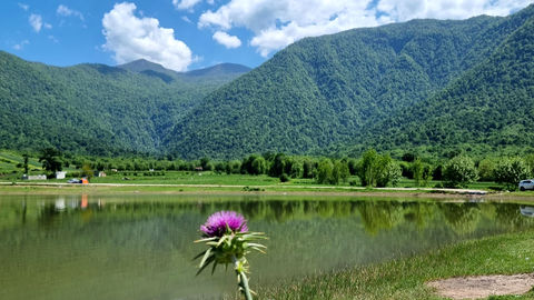 روستای شفیع آباد