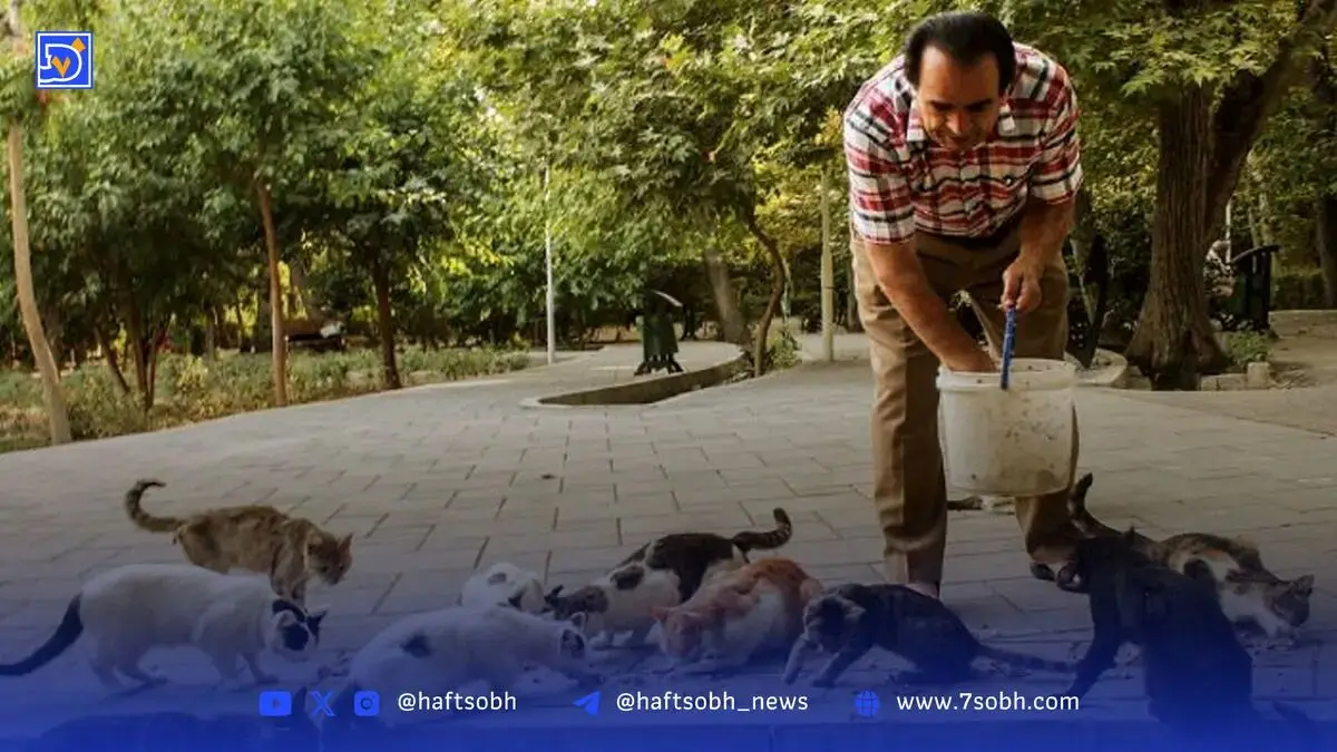 گربه‌هایی که از موش می‌ترسند