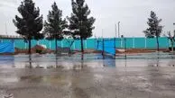 سیر تا پیاز کشف گنج با شکوه در قطعه ۲۵۲ بهشت زهرا